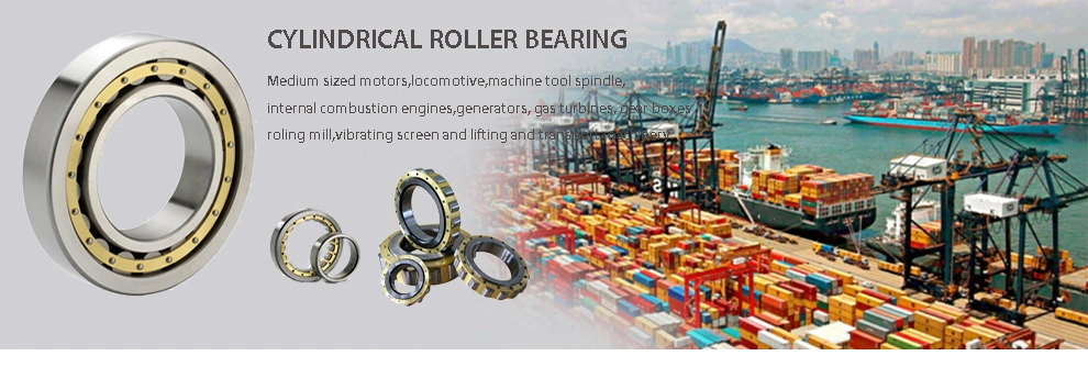 NJ240EM Cylindrical Roller Bearing For Automotive Steering Gear Mud Pump Bearing/ Cylindrical Roller Bearing